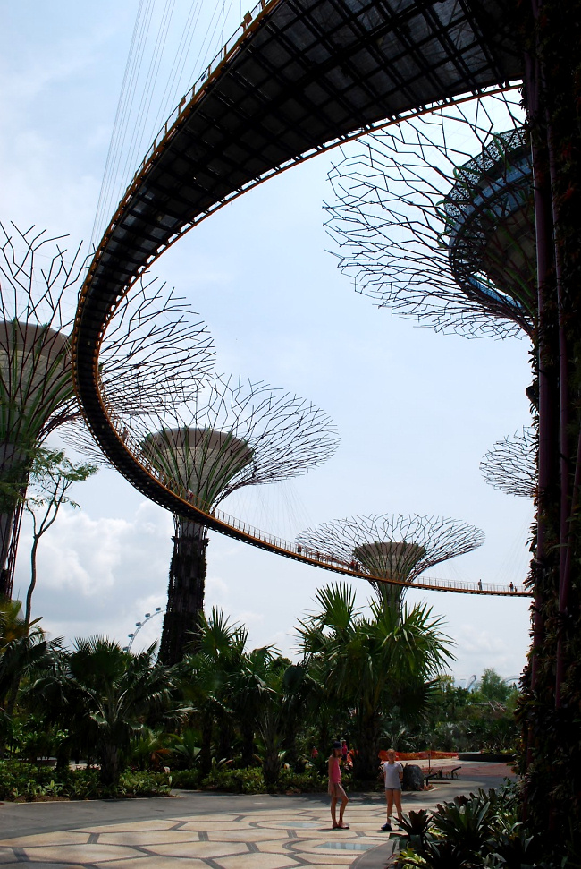 Gardens by the Bay