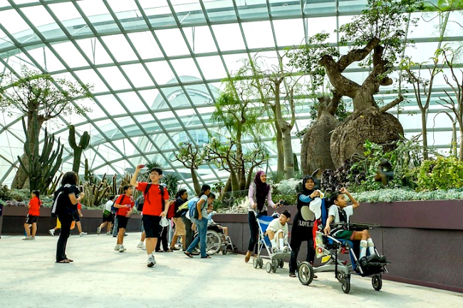 Gardens by the Bay